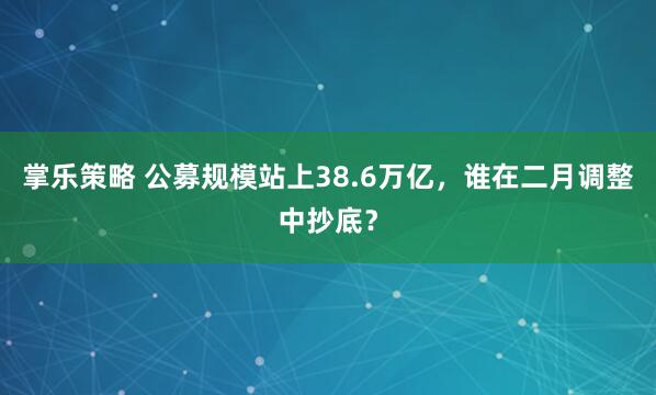 掌乐策略 公募规模站上38.6万亿，谁在二月调整中抄底？
