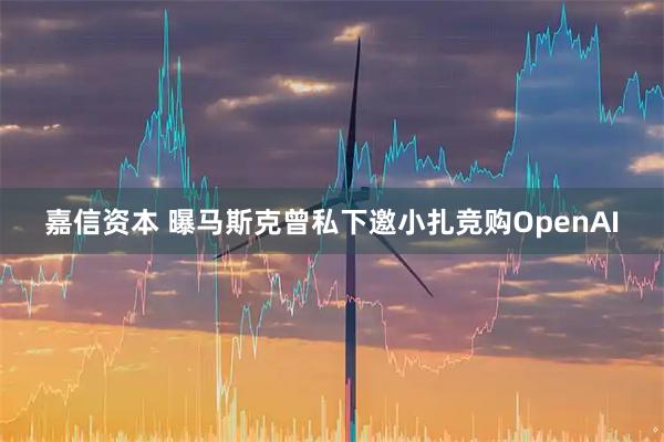 嘉信资本 曝马斯克曾私下邀小扎竞购OpenAI