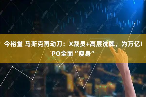 今裕堂 马斯克再动刀：X裁员+高层洗牌，为万亿IPO全面“瘦身”
