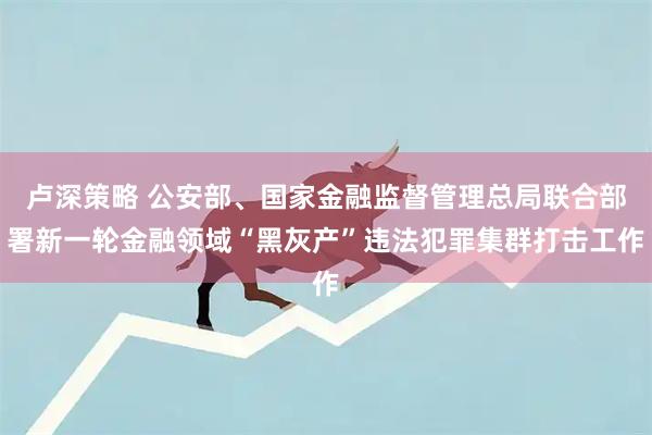 卢深策略 公安部、国家金融监督管理总局联合部署新一轮金融领域“黑灰产”违法犯罪集群打击工作
