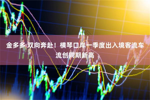 金多多 双向奔赴！横琴口岸一季度出入境客流车流创同期新高