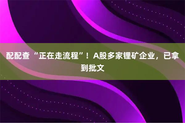 配配查 “正在走流程”！A股多家锂矿企业，已拿到批文