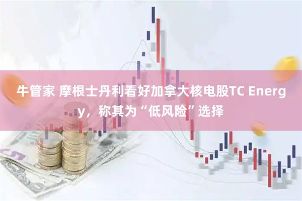 牛管家 摩根士丹利看好加拿大核电股TC Energy，称其为“低风险”选择