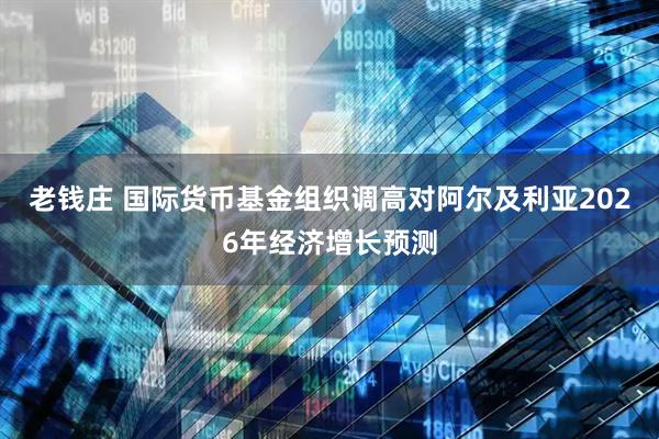 老钱庄 国际货币基金组织调高对阿尔及利亚2026年经济增长预测